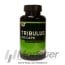 Tribulus Terrestris - Optimum Nutrition