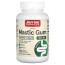Vegan Mastic Gum, 1,000 mg, 120 Veggie Capsules Jarrow Formulas Jarrow Formulas