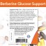 Berberine Glucose Support - 90 Softgels Now Foods