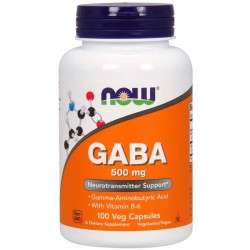 Gaba 500mg (90 cápsulas) - Now Foods