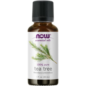 Tea Tree Oil - 1 fl. oz. NOW Essential Oils