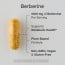 Berberine 1000mg (60 veggie capsules) SR Sports Research