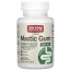 Vegan Mastic Gum, 1,000 mg, 60 Veggie Capsules Jarrow Formulas Jarrow Formulas