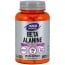 Beta Alanina 750mg (120 cápsulas) - Now Foods