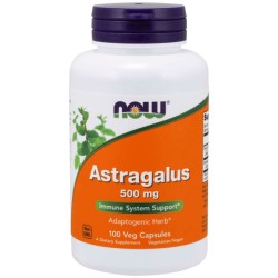 Astragalus 500mg (100 cápsulas) - Now Foods
