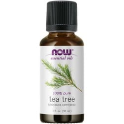 Tea Tree Oil - 1 fl. oz. NOW Essential Oils