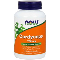 Cordyceps 750mg (90 cápsulas) - Now Foods