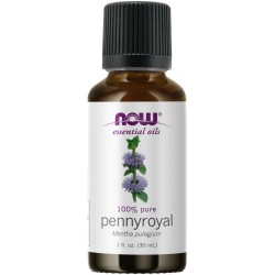Pennyroyal Oil - 1 fl. oz. NOW Essential Oils