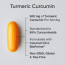 Turmeric Curcumin C3 Complex 500mg (60 softgels) SR Sports Research